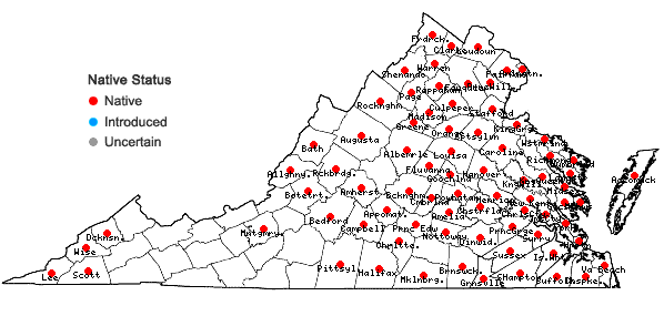 Locations ofMimulus alatus Aiton in Virginia