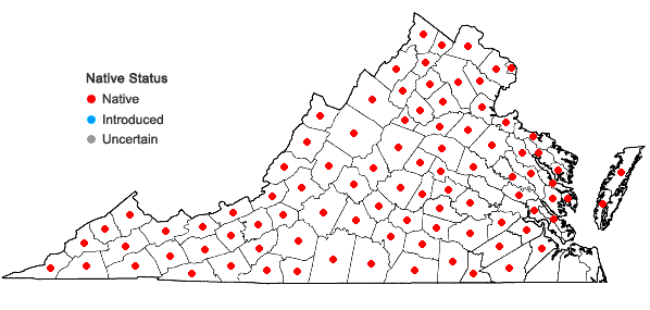 Locations ofMimulus ringens L. var. ringens in Virginia