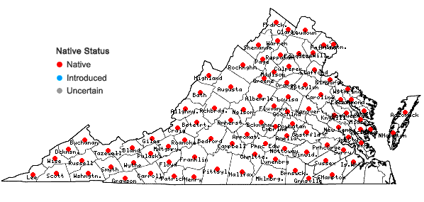 Locations ofMimulus ringens L. var. ringens in Virginia