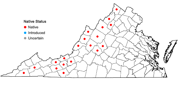 Locations ofMinuartia michauxii (Fenzl) Farwell var. michauxii in Virginia