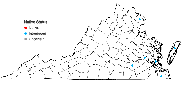 Locations ofMirabilis jalapa L. in Virginia