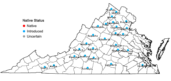 Locations ofMirabilis nyctaginea (Michx.) MacM. in Virginia