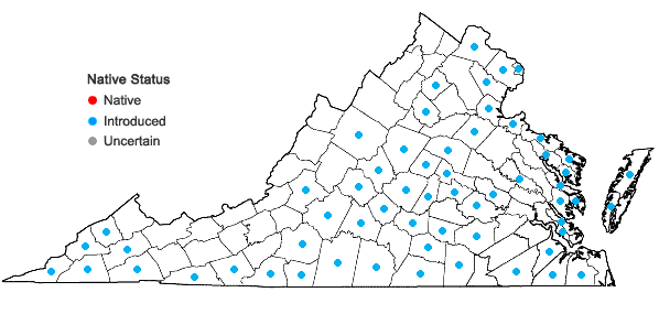 Locations ofMiscanthus sinensis Anderss. in Virginia