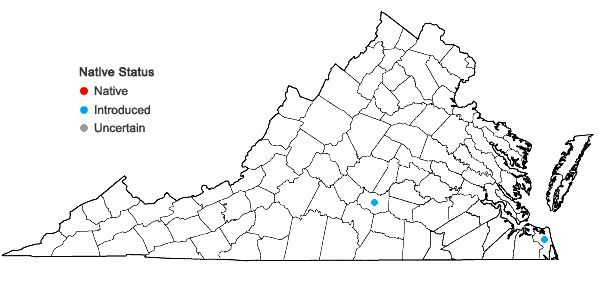 Locations ofMisopates orontium (L.) Raf. in Virginia