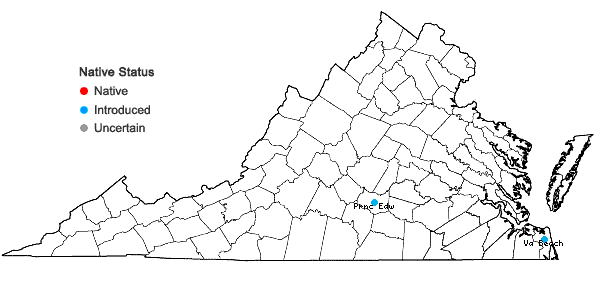 Locations ofMisopates orontium (L.) Raf. in Virginia