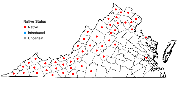 Locations ofMitella diphylla L. in Virginia