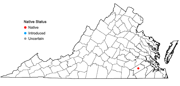 Locations ofMnesithea rugosa (Nutt.) de Koning & Sosef in Virginia