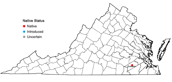 Locations ofMnesithea rugosa (Nutt.) de Koning & Sosef in Virginia