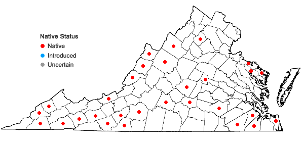 Locations ofMnium hornum Hedwig in Virginia