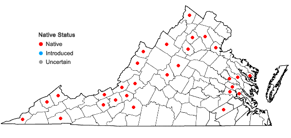 Locations ofMnium marginatum (Dicks. ex With.) P. Beauv. in Virginia