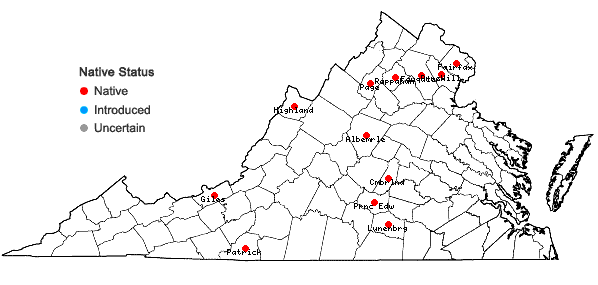 Locations ofMnium stellare Hedwig in Virginia