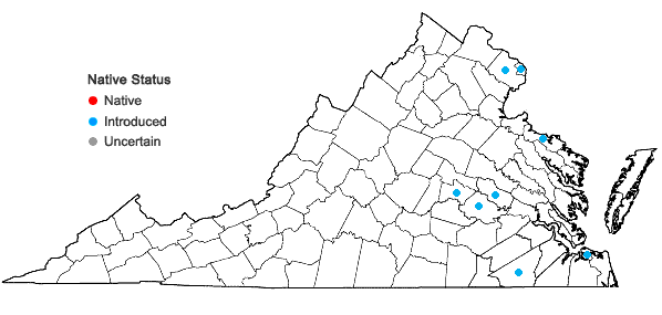 Locations ofMoeroris tenella (Roxburgh) R.W. Bouman in Virginia