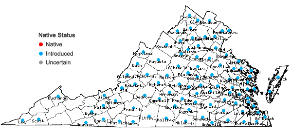 Locations ofMollugo verticillata L. in Virginia