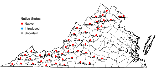 Locations ofMonarda clinopodia L. in Virginia