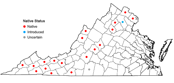 Locations ofMonarda didyma L. in Virginia