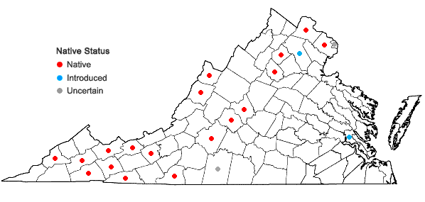 Locations ofMonarda didyma L. in Virginia