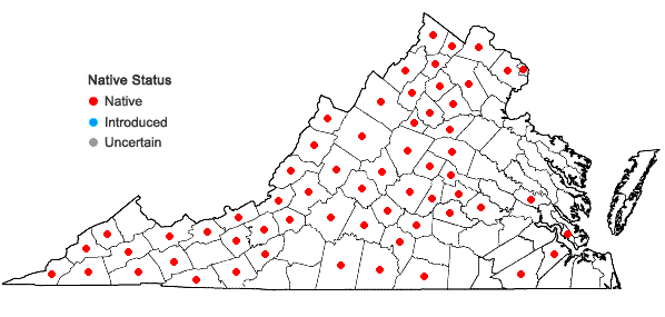 Locations ofMonarda fistulosa L. in Virginia