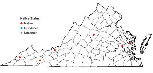 Locations ofMonarda media Willd. complex in Virginia