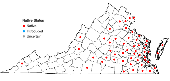 Locations ofMonarda punctata L. var. punctata in Virginia