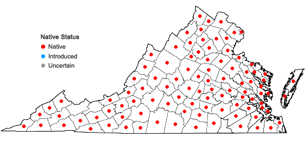 Locations ofMonotropa uniflora L. in Virginia
