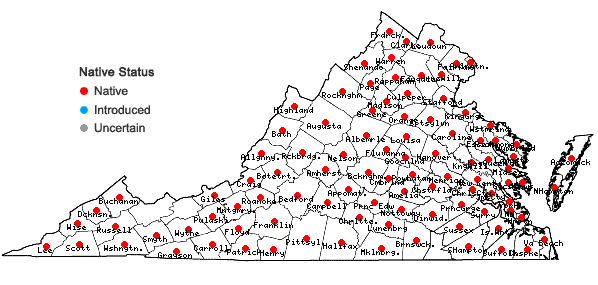 Locations ofMonotropa uniflora L. in Virginia