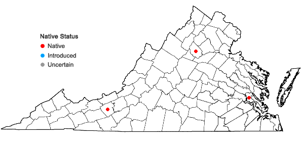 Locations ofMonotropsis odorata Schwein. ex Ell. var. lehmaniae (Burnham) H.E. Ahles in Virginia