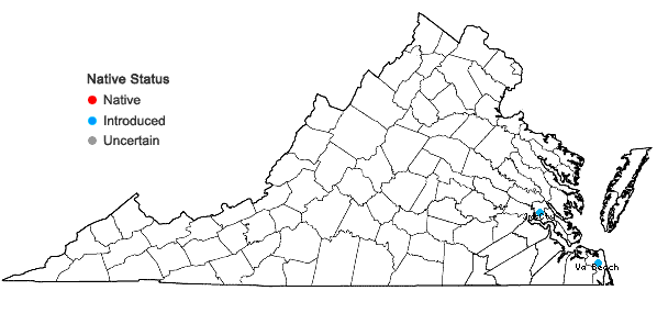 Locations ofMontia fontana L. in Virginia