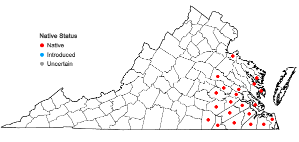 Locations ofMorella caroliniensis (P. Miller) Small in Virginia