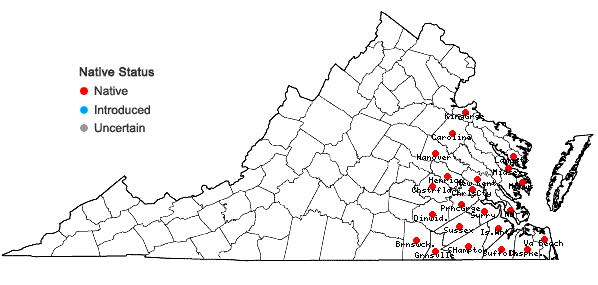 Locations ofMorella caroliniensis (P. Miller) Small in Virginia