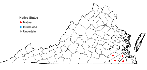 Locations ofMorella pumila (Michx.) Small in Virginia