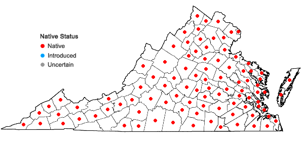 Locations ofMorus rubra L. in Virginia