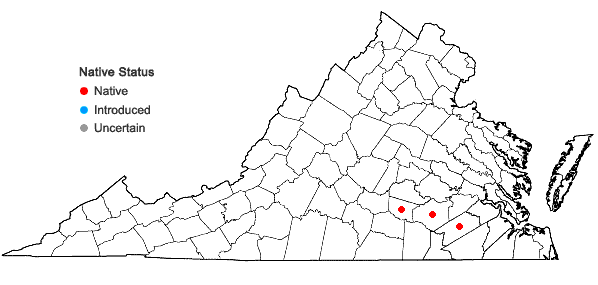 Locations ofMuhlenbergia bushii Pohl in Virginia