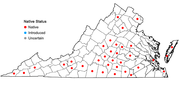 Locations ofMuhlenbergia capillaris (Lam.) Trin. in Virginia