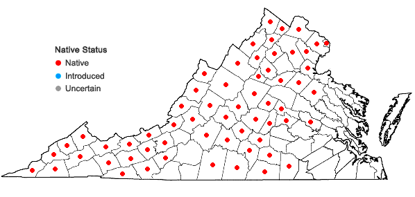 Locations ofMuhlenbergia frondosa (Poir.) Fern. in Virginia