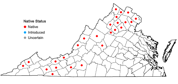 Locations ofMuhlenbergia mexicana (L.) Trin. in Virginia