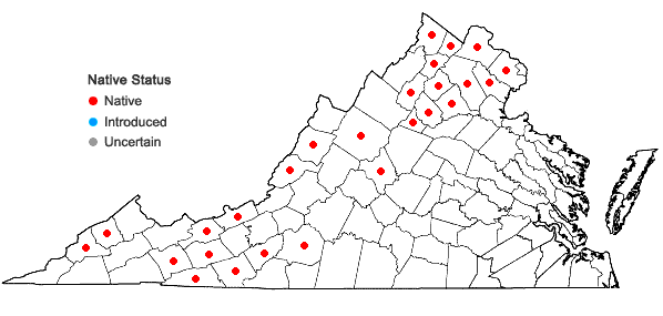 Locations ofMuhlenbergia mexicana (L.) Trin. in Virginia