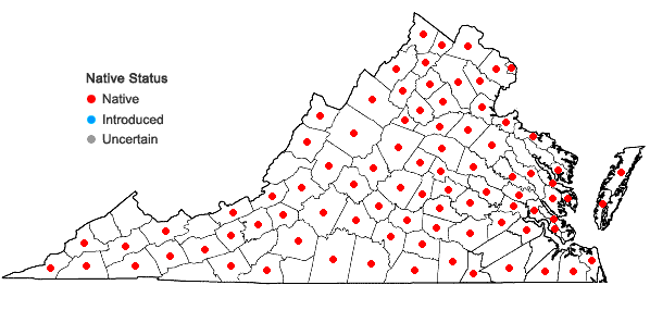 Locations ofMuhlenbergia schreberi J.F. Gmel. in Virginia