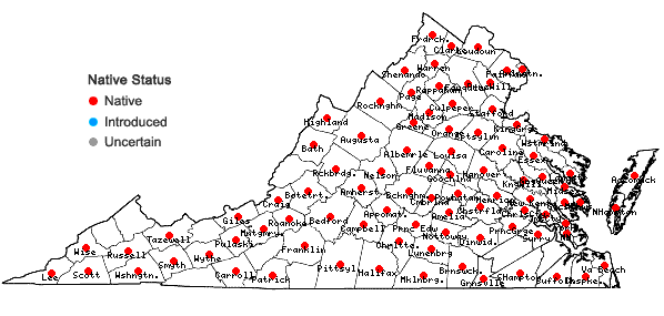 Locations ofMuhlenbergia schreberi J.F. Gmel. in Virginia