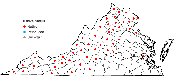 Locations ofMuhlenbergia sobolifera (Muhl. ex Willd.) Trin. in Virginia