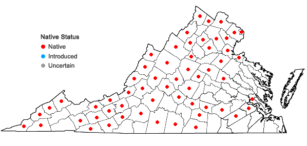 Locations ofMuhlenbergia sylvatica (Torr.) Torr. ex Gray in Virginia