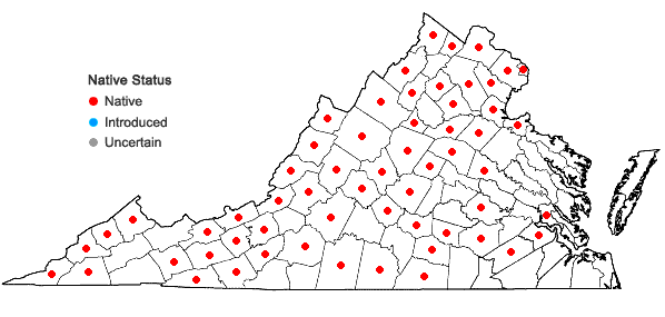 Locations ofMuhlenbergia sylvatica (Torr.) Torr. ex Gray in Virginia