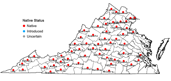 Locations ofMuhlenbergia sylvatica (Torr.) Torr. ex Gray in Virginia