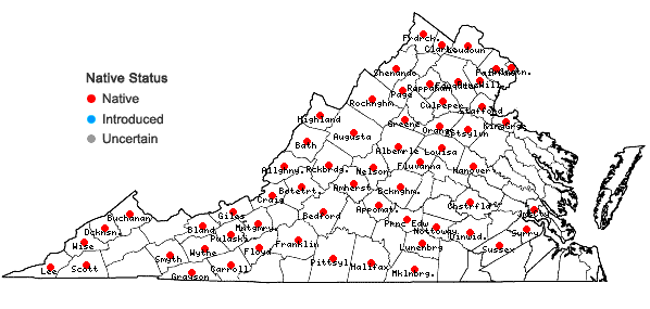 Locations ofMuhlenbergia sylvatica (Torr.) Torr. ex Gray in Virginia