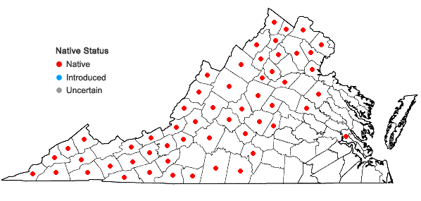 Locations ofMuhlenbergia tenuiflora (Willd.) B.S.P. in Virginia