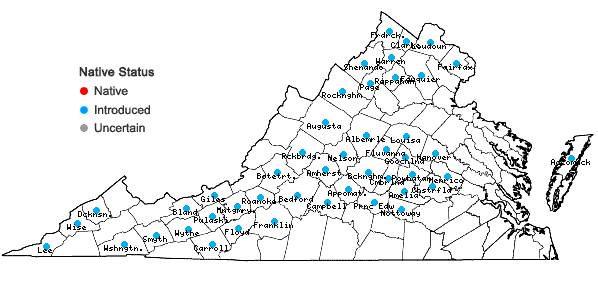 Locations ofMummenhoffia alliacea (L.) Esmailbegi & Al-Shehbaz in Virginia