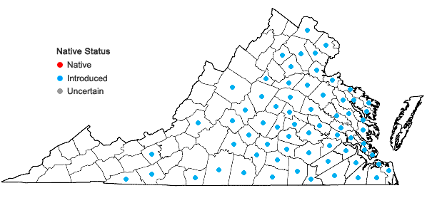 Locations ofMurdannia keisak (Hasskarl) Handel-Mazzetti in Virginia