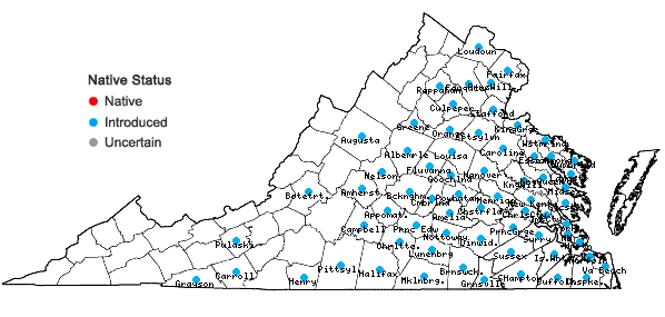 Locations ofMurdannia keisak (Hasskarl) Handel-Mazzetti in Virginia