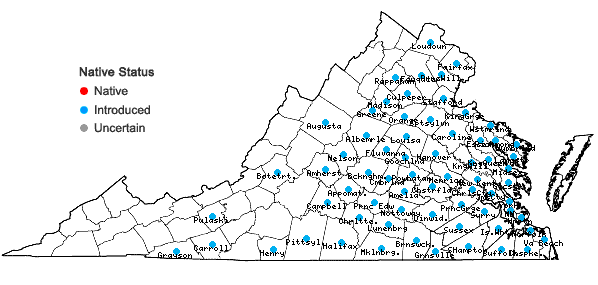 Locations ofMurdannia keisak (Hasskarl) Handel-Mazzetti in Virginia