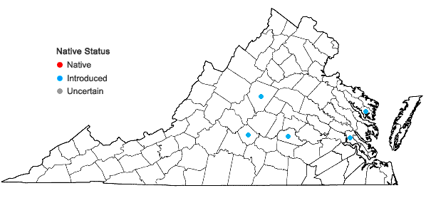 Locations ofMuscari comosum (L.) P. Mill. in Virginia