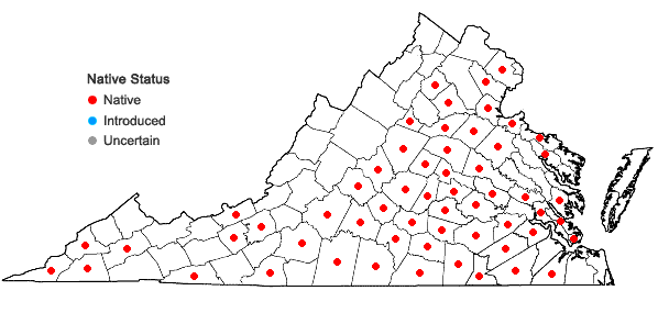 Locations ofMyosotis macrosperma Englem. in Virginia